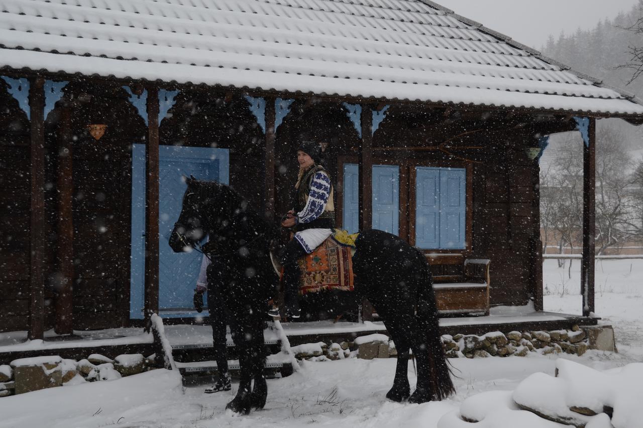 Gospodaria Lui Nea Ion Vama Buzăului Dış mekan fotoğraf
