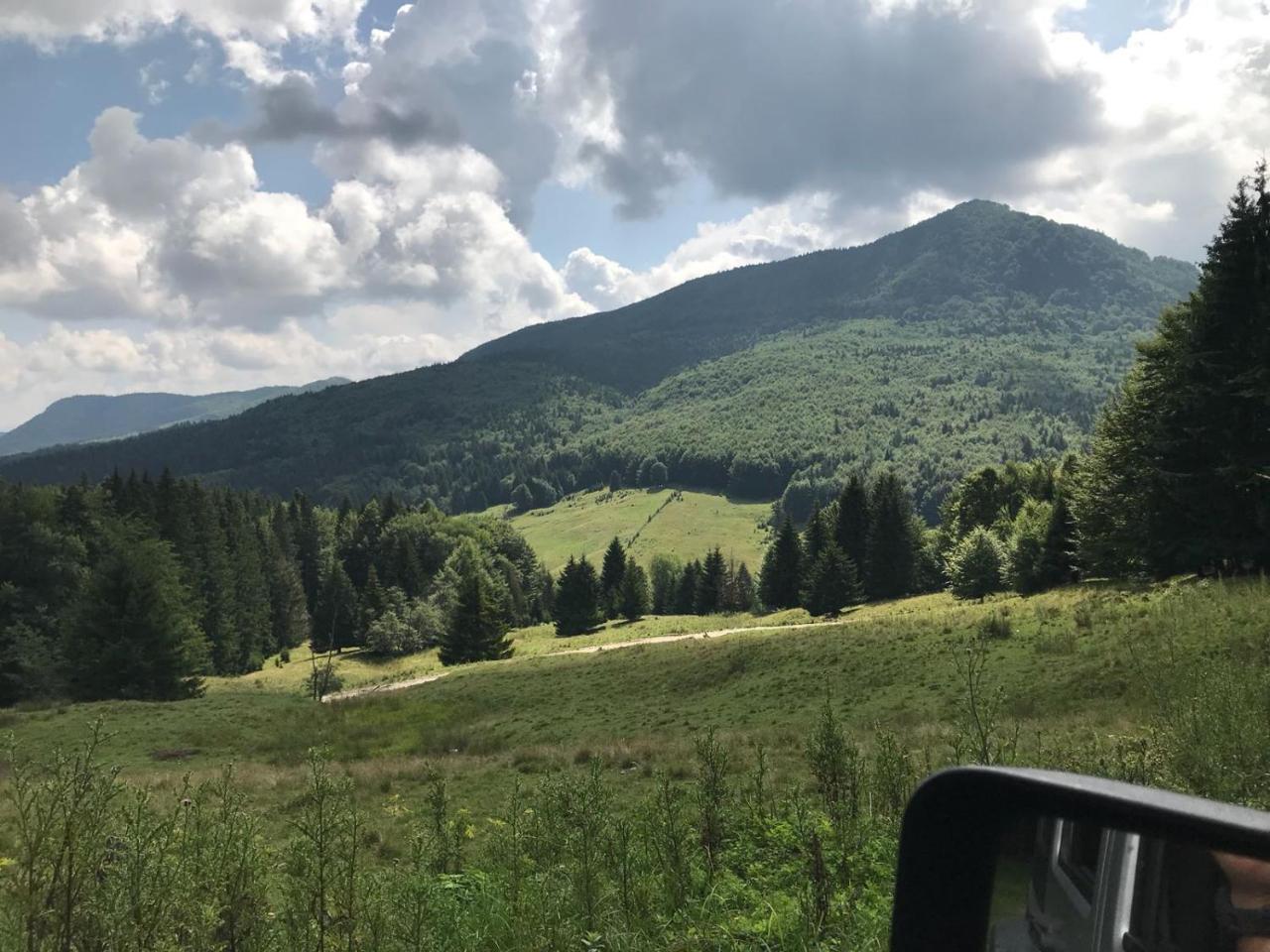 Gospodaria Lui Nea Ion Vama Buzăului Dış mekan fotoğraf