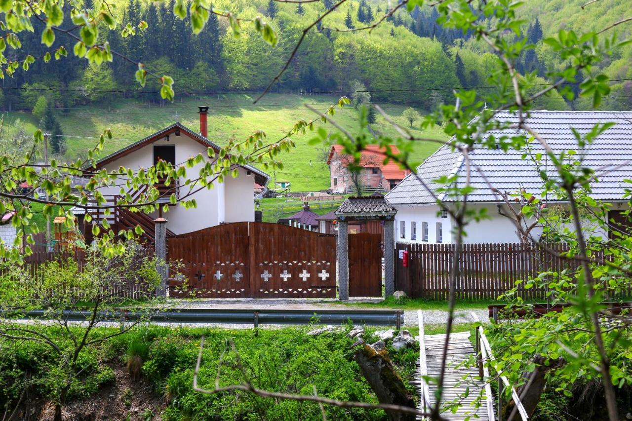 Gospodaria Lui Nea Ion Vama Buzăului Dış mekan fotoğraf