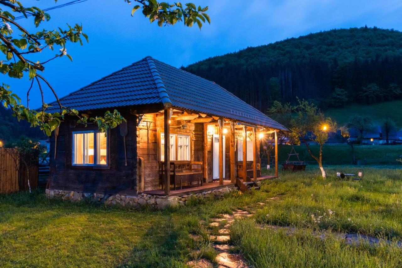 Gospodaria Lui Nea Ion Vama Buzăului Dış mekan fotoğraf